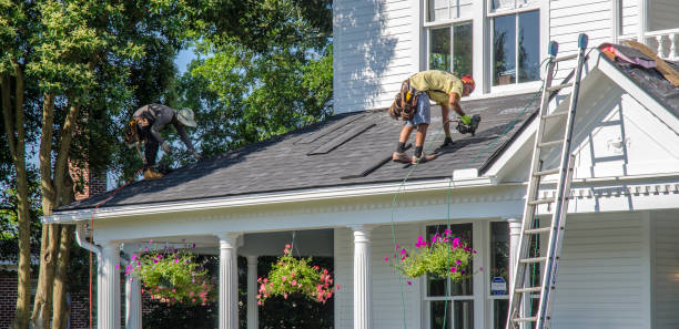 Best Shingle Roofing Installation  in Lyons, GA