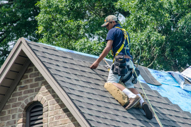 Residential Roof Replacement in Lyons, GA
